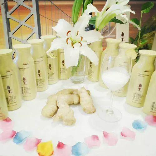阿道夫洗發(fā)水推廣品牌